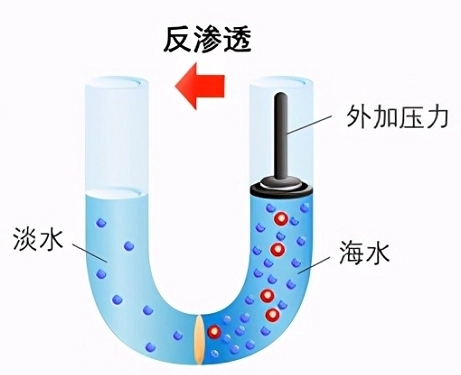 1670205937455061.jpg aa18972bd40735fac8fdf3f64d6656b80f240836.webp.jpg